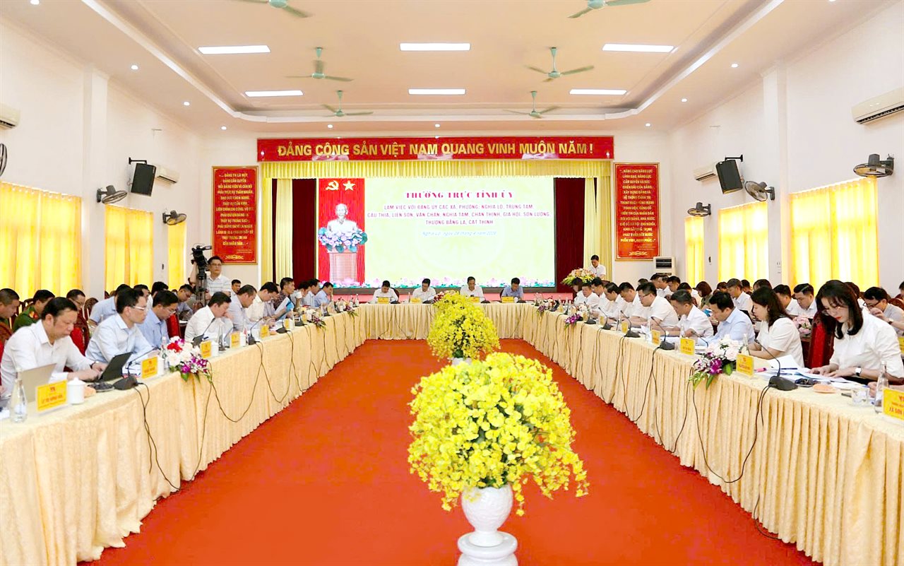 anh tin bai